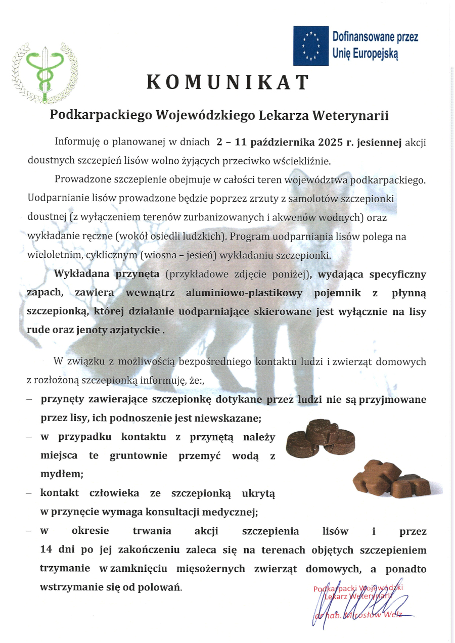 Plakat informacyjny Podkarpackiego Wojewódzkiego Lekarza Weterynarii dotyczący jesiennej akcji szczepień lisów wolno żyjących przeciwko wściekliźnie w dniach 2–11 października 2025 roku. Szczepionki w formie przynęt będą zrzucane z samolotów oraz wykładane ręcznie, z wyłączeniem terenów zurbanizowanych i akwenów wodnych. Na plakacie opisano wygląd i działanie przynęt: mają specyficzny zapach, a w środku aluminiowo-plastikowy pojemnik z płynną szczepionką. Dodano ostrzeżenia dla ludzi: nie należy dotykać przynęt, w razie kontaktu trzeba dokładnie umyć ręce wodą z mydłem, a kontakt z samą szczepionką wymaga konsultacji medycznej. Zaleca się także, aby przez okres akcji i 14 dni po jej zakończeniu nie wypuszczać zwierząt mięsożernych oraz powstrzymać się od polowań. W prawym górnym rogu widnieje logo Unii Europejskiej z napisem „Dofinansowane przez Unię Europejską”. Na dole plakatu znajdują się zdjęcia przykładowych brązowych przynęt w kształcie kostek.